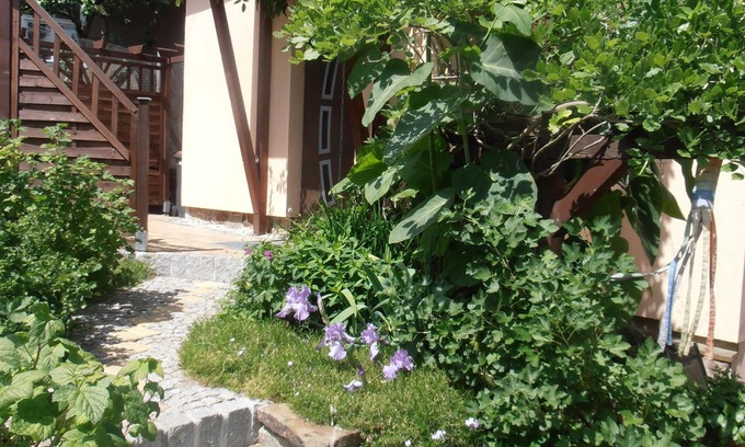 Bermsgrun Apartment | Pet-Friendly Fewo Baumann with Breakfast & Family Amenities