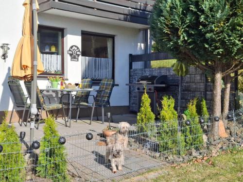 Landkreis Goslar Apartment | FeWo Harzer Bergwind Sankt Andreasberg, 1 Hund bis 30Kg willkommen, große eingezäunte Terrasse mit Gasgrill