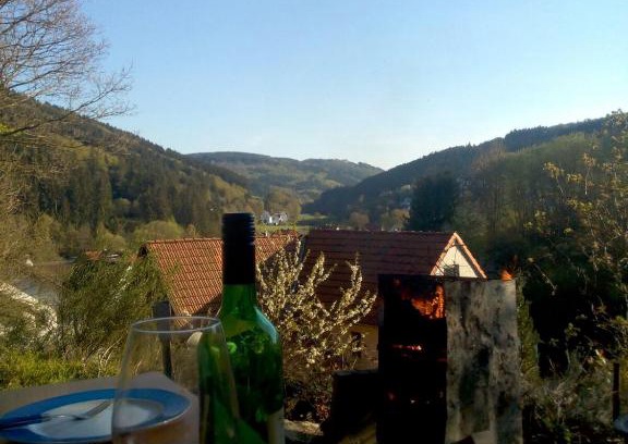 Bontkirchen Apartment | Pet-Friendly FeWo PacoHaus Near Willingen Diemelsee