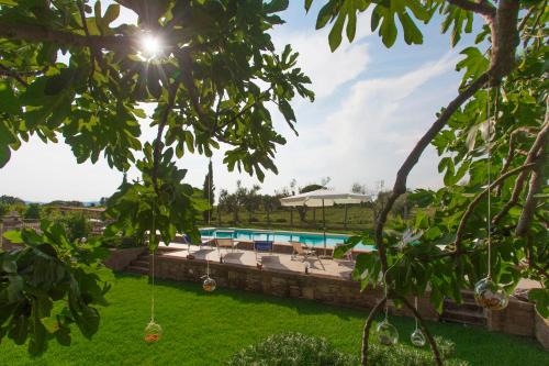 Pitigliano Bed & Breakfast | FicOlivo: Prime Oceanfront Stay with Pool & High Ratings