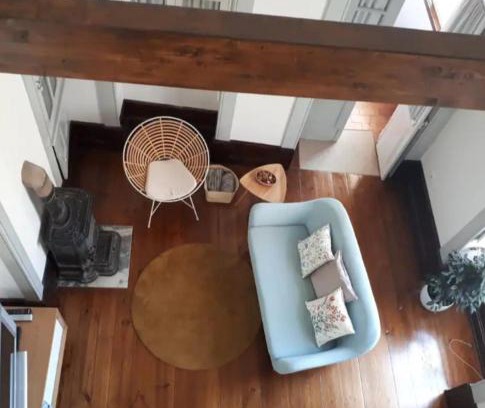 Aveiro Apartment | Remarkable Ficus Benjamina: Guest Rated 9.6/10, Family-Friendly
