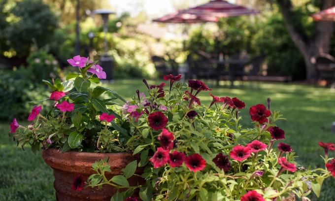 Carlsbad Bed & Breakfast | Discover Fiddler's Inn: Guest Rated 9.8 with Spa & Hot Tub