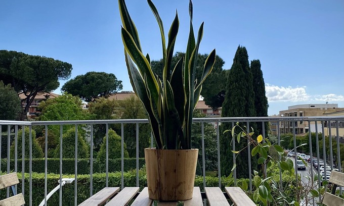 San Giovanni Apartment | Experience Fiello Flat #1: Guest Rated 10/10 with Spa & Kitchen