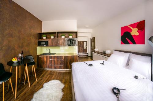 Hradec Kralove Apartment | Elegant Fifty Shades of Gray Studio in City Center