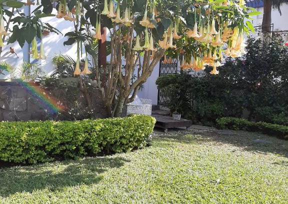 Sommerschield Bed & Breakfast | Figtree Guesthouse: Oceanfront Retreat with Pool & Views