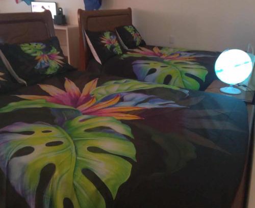 Vaitele Bed & Breakfast | FINAU 685 Accommodations