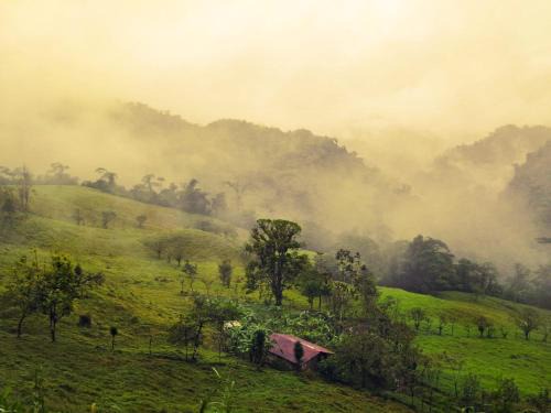 La Fortuna Bed & Breakfast | Pet-Friendly Finca Del Cielo with Top Ratings and Kitchen