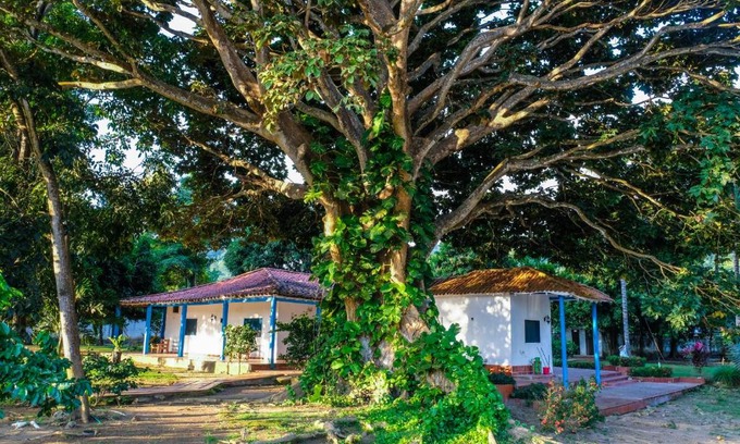 Palomino Hotel | Experience Finca del Rio Palomino: Ocean View Retreat