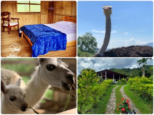 Ibague House | Finca Ecoparaiso: Guest Rated 9/10 with Hot Tub & Breakfast