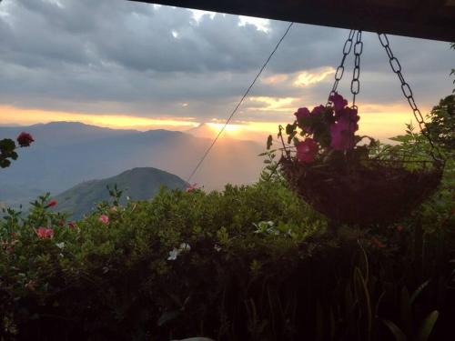 Fredonia House | Pet-Friendly Finca Emilio: Guest Rated 10/10 with Pool