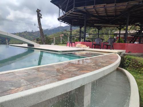 La Estrella Bed & Breakfast | Finca La Fortaleza: Oceanfront Retreat with Pool & Pet-Friendly