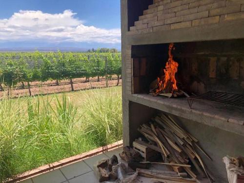Ugarteche House | Discover Family-Friendly Relaxation at Finca, La Joya