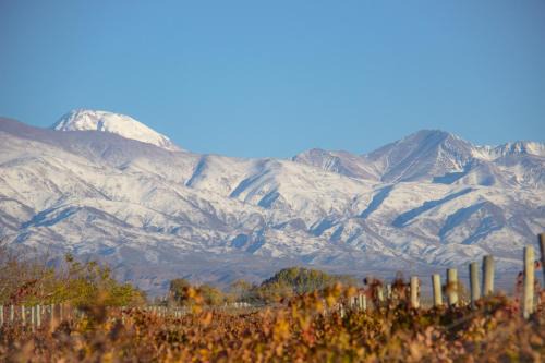 Mendoza Wine Region House | Experience Oceanfront Bliss at Finca La Pichona