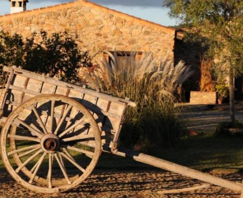 El Madrono Resort | Discover Finca Los Caleros: Oceanfront Paradise Awaits