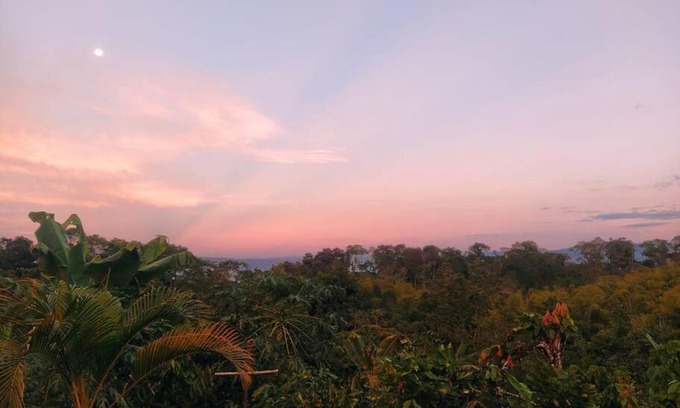 Tamesis Apartment | Pet-Friendly Retreat at Mi Finquita - Rated 9/10 by Guests