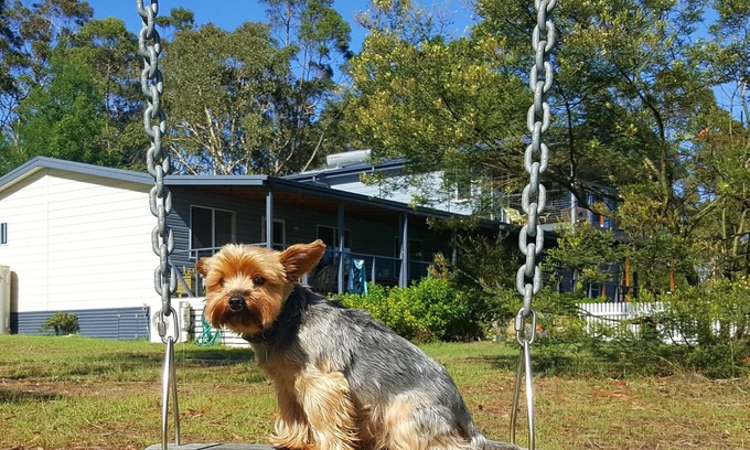 Wandandian Cottage | Finchley B&B Wandandian: Pet-Friendly Oceanfront Retreat