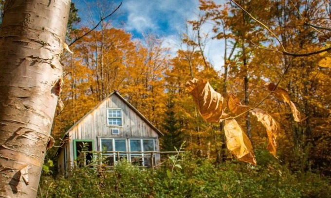 Walden Cabin | Unplug in an Authentic Mountain Cabin with Scenic Views
