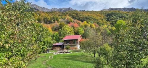 Kolasin Municipality Villa | Pet-Friendly Retreat at Fireside Lodge for the Whole Family