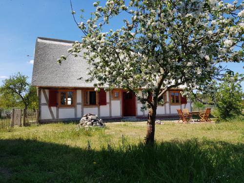 Altwarp Apartment | Fischerhus Lütt Hauke: Pet-Friendly Oceanfront Retreat