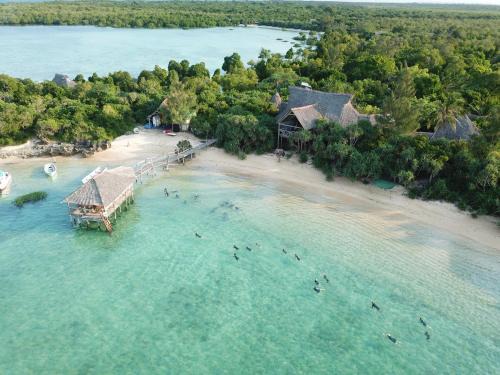 Tanga Cabin | Experience Relaxation at Fish Eagle Point with Ocean Views