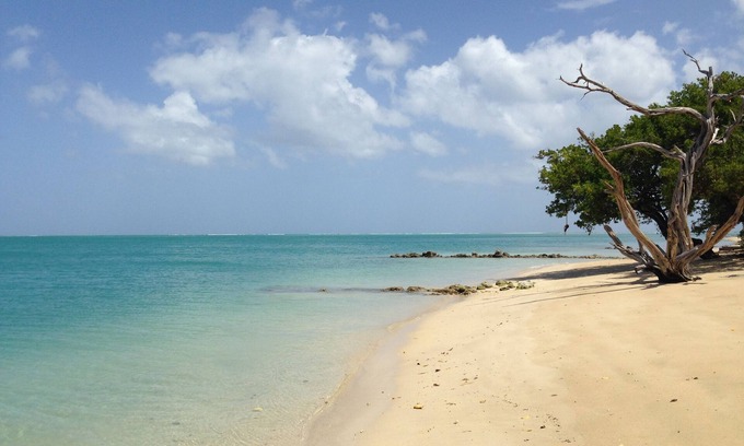 Buccoo Hotel | Cozy Fish Tobago Guesthouse with Spa and Restaurant