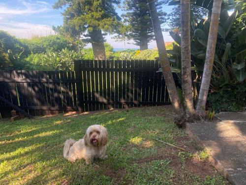Port Edward Apartment | Oceanfront Fishermans Cottage - Pet Friendly & Highly Rated