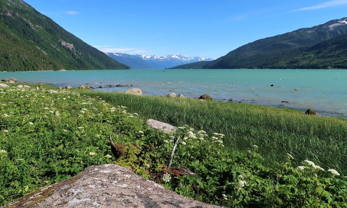 Haines Cottage | Fishing, Bears, Eagles & Salmon Viewing!