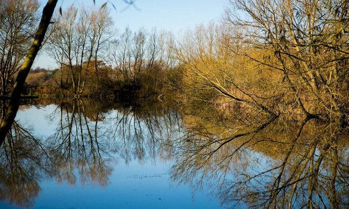Dilton Marsh Apartment | Budget-Friendly Fishing Break at Brambling Woodland Hut