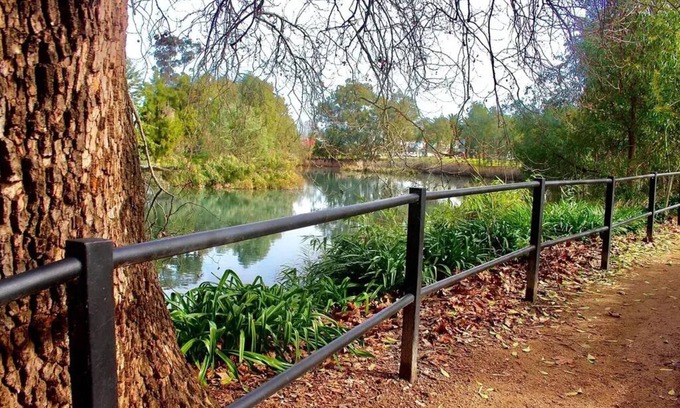 Wagga Wagga House | Waterviews: Perfect Family Retreat in CBD with Kitchen