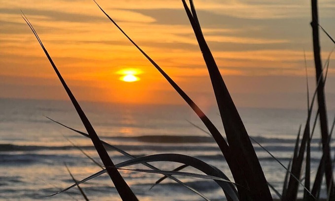 Flagler Beach Condo | Oceanfront Flagler Beach Island Time Condo with Pet-Friendly Perks