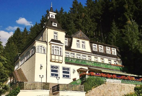Meuselbach-Schwarzmuhle Hotel | Pet-Friendly Flair-Hotel Waldfrieden with Spa & Hot Tub