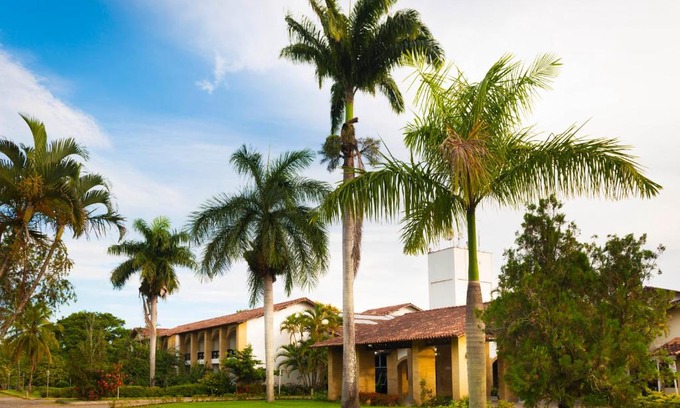 Amarelos Hotel | Vibrant Flamboyant Hotel & Convention: Poolside Relaxation Awaits