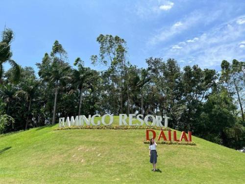 Ngoc Quang Apartment | Relax at Happy Villa Flamingo Dai Lai with Ocean View Amenities