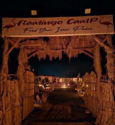 Al Fayoum Other | Cozy Flamingo Camp: Oceanfront Retreat with Pet-Friendly Perks