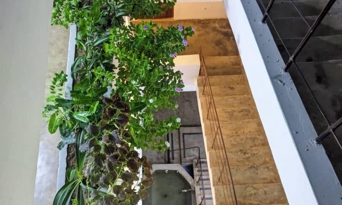Stone Town House | Budget-Friendly Hotel on Mkunazini Street with Breakfast