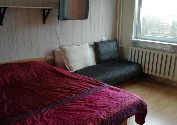 Panevezys Apartment | Cozy One-Room Flat with Study - Pet and Child Friendly
