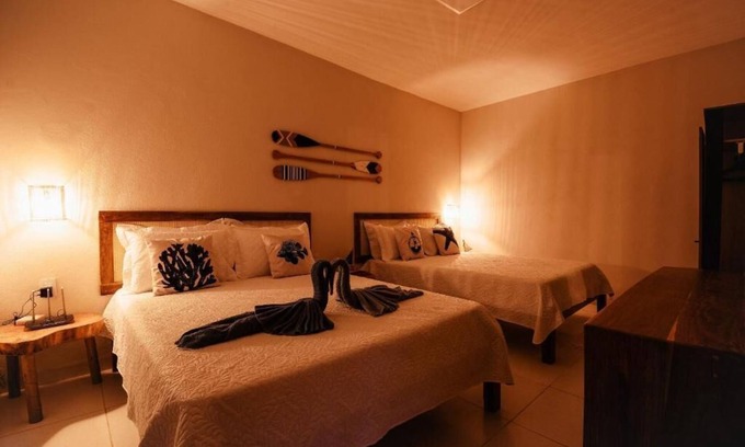 Japaratinga Apartment | Flats Japaratinga