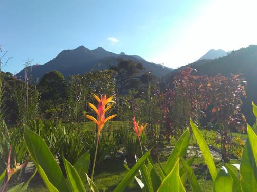 Paraty Apartment | Budget-Friendly Flats Vista Bela with Mountain Views