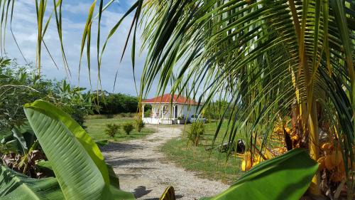 Saint-Louis House | Discover Fleur d'Hibiscus: Oceanfront Getaway Awaits