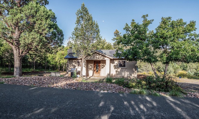 Alto House | Cozy Retreat | Wooded Views & Outdoor Activities Await