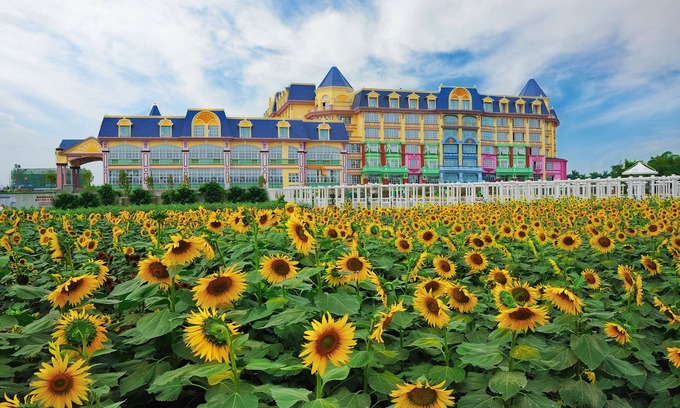 Nansha Hotel | Discover Floloving Hotel: Family-Friendly with Pool Access