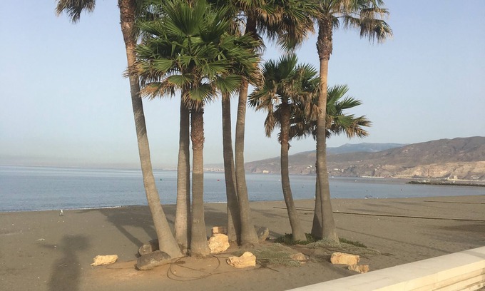 Almeria Condo | Beachside Retreat: 10/10 Rated with Oceanfront Views