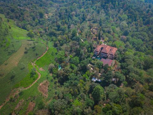 Kunnathidavaka Resort | Experience Flora Vythiri Resort: 5-Star Spa and Pool Retreat