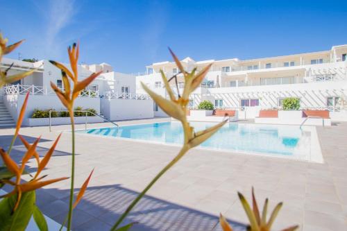 Playa del Cable Apartment | Beachfront Flower Beach Suite 6 with Pool & Ocean Views