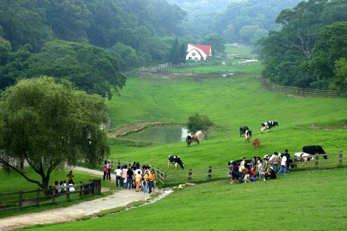 Tongxiao Hotel | Experience Flying Cow Ranch: Family-Friendly Getaway