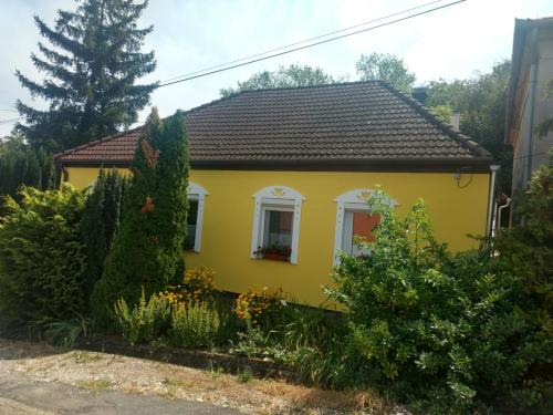 Hidegseg House | Pet-Friendly Foki Vendégház with 10/10 Guest Ratings