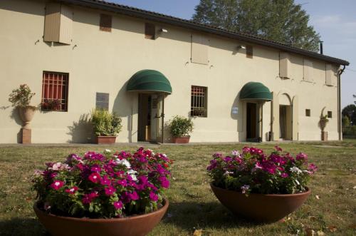 Faenza Bed & Breakfast | Cozy Bed and Breakfasts in Italy with Spa & Pet-Friendly Options