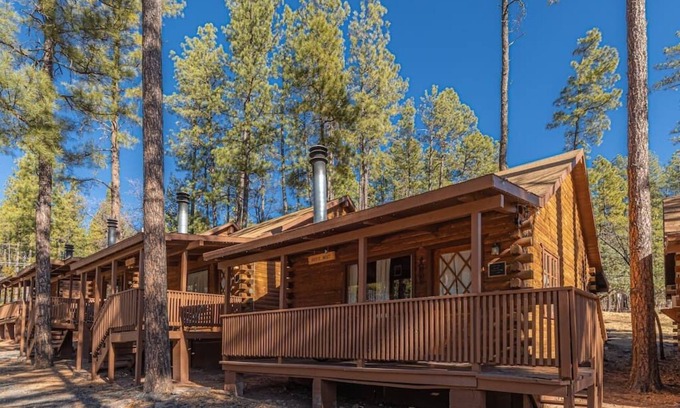 Christopher Creek Cabin | Cozy Forest Cabin 2 Birds Nest - Pet & Child Friendly Stay