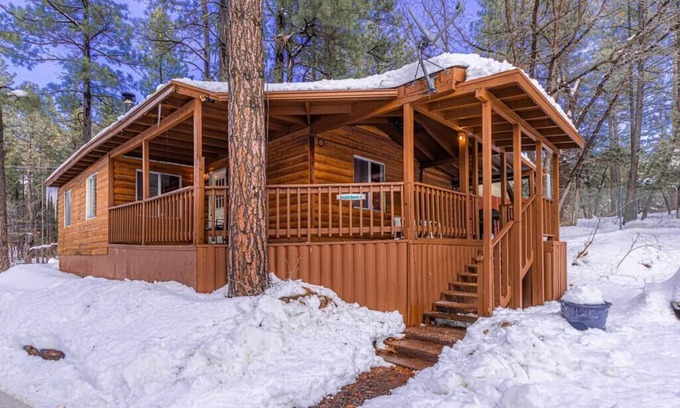 Christopher Creek Cabin | Pet-Friendly Forest Cabin 7: Guest Rated 10/10 Experience