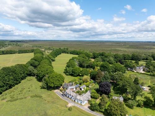New Forest District House | Welcoming Forest Cottage: Ideal for Families and Pets